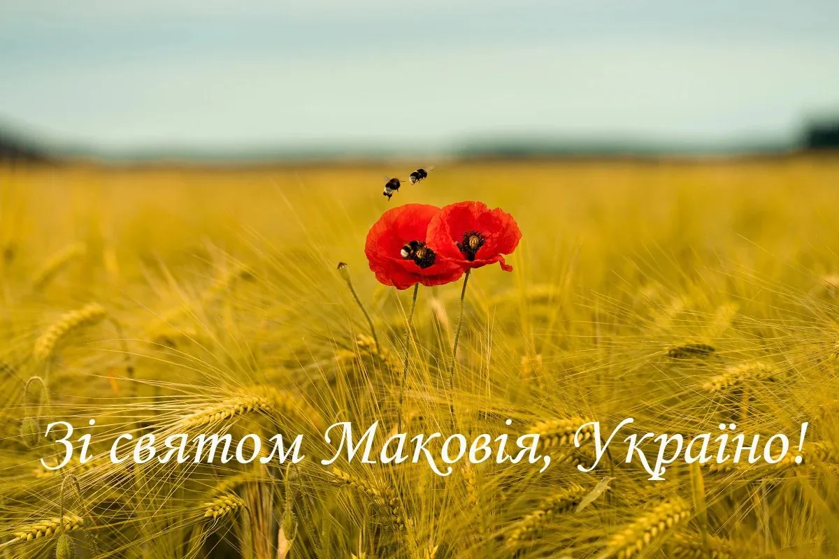 Медовый Спас Медовый Спас