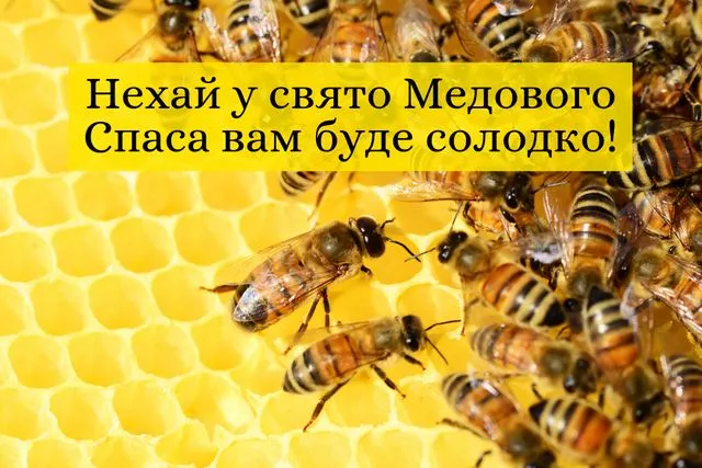 Медовый Спас