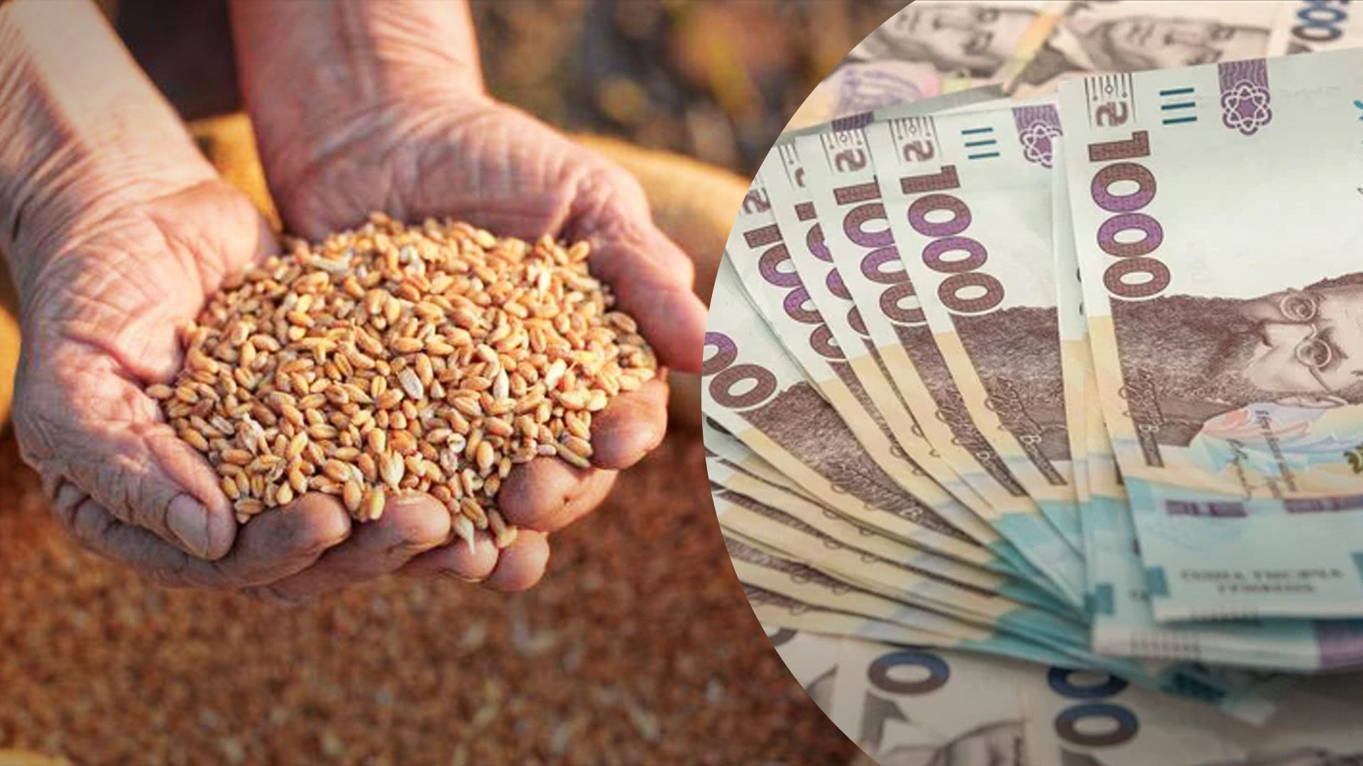 На бирже продают 200 тонн пшеницы На бирже продают 200 тонн пшеницы