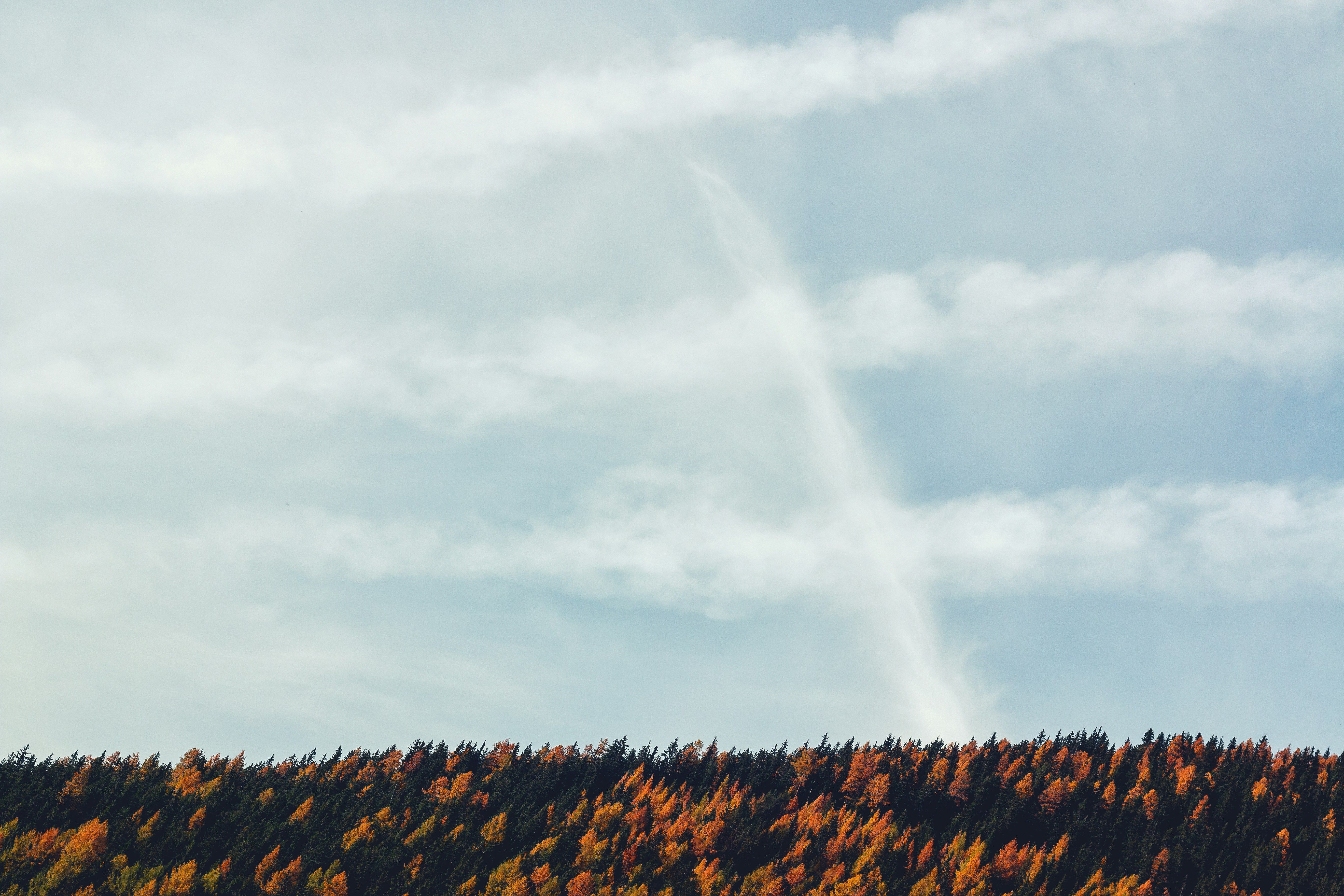 Погода в Україні на 31 липня Погода в Україні на 31 липня