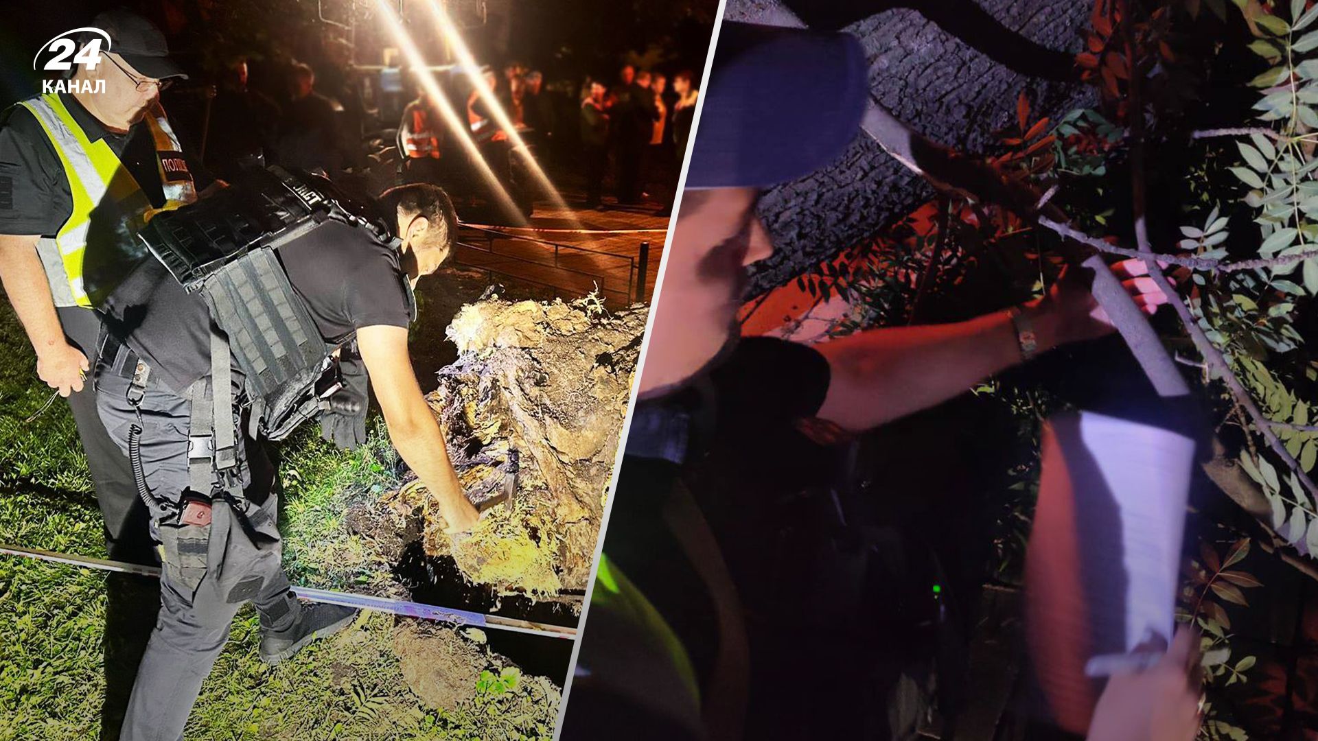 У Києві після падіння дерева у парку Шевченка загинула людина У Києві після падіння дерева у парку Шевченка загинула людина