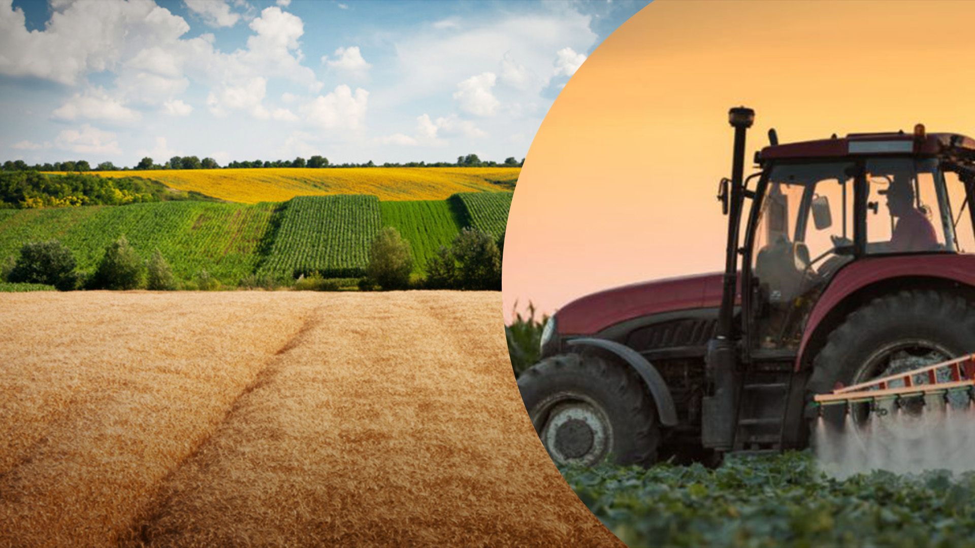 Вартість землі у селі Вартість землі у селі