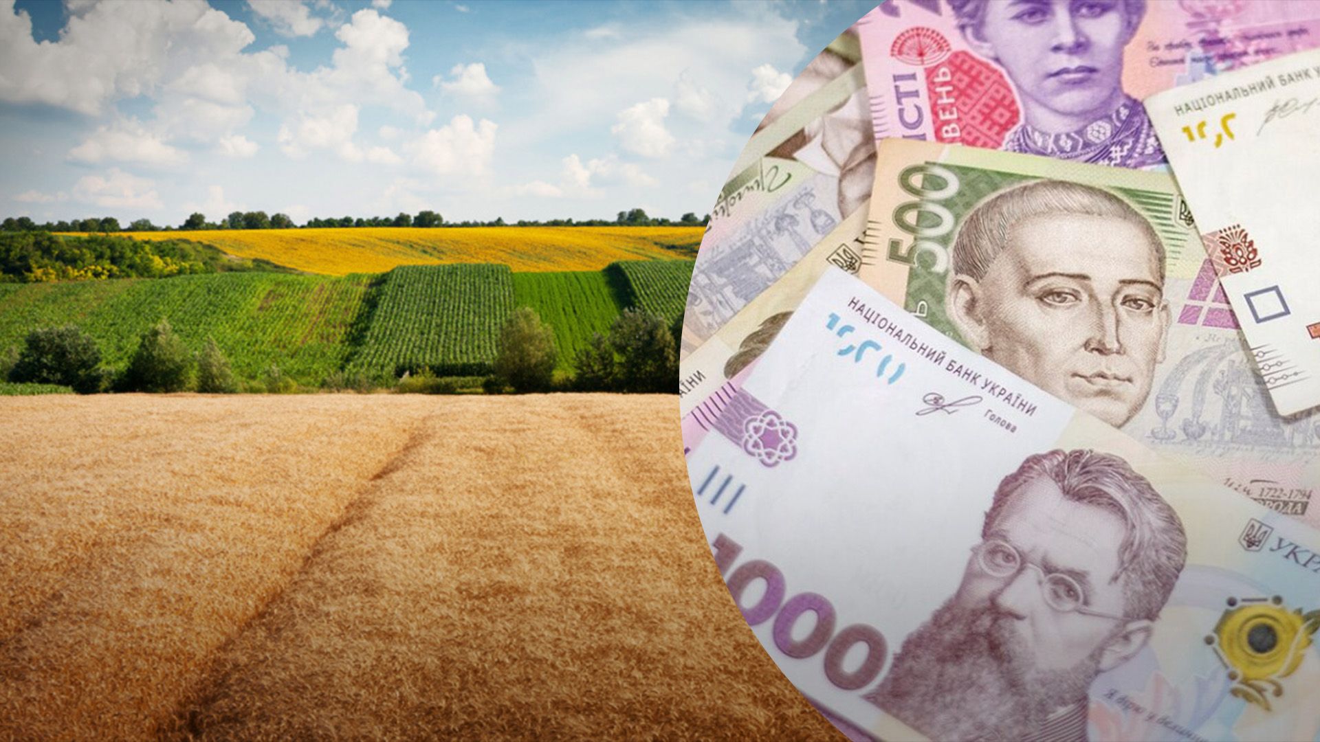 Земельні торги наповнюють бюджети країни Земельні торги наповнюють бюджети країни