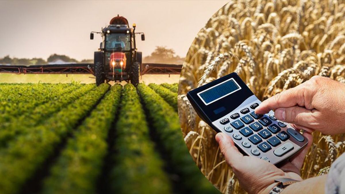 Кто из фермеров имеет право на субсидию Кто из фермеров имеет право на субсидию