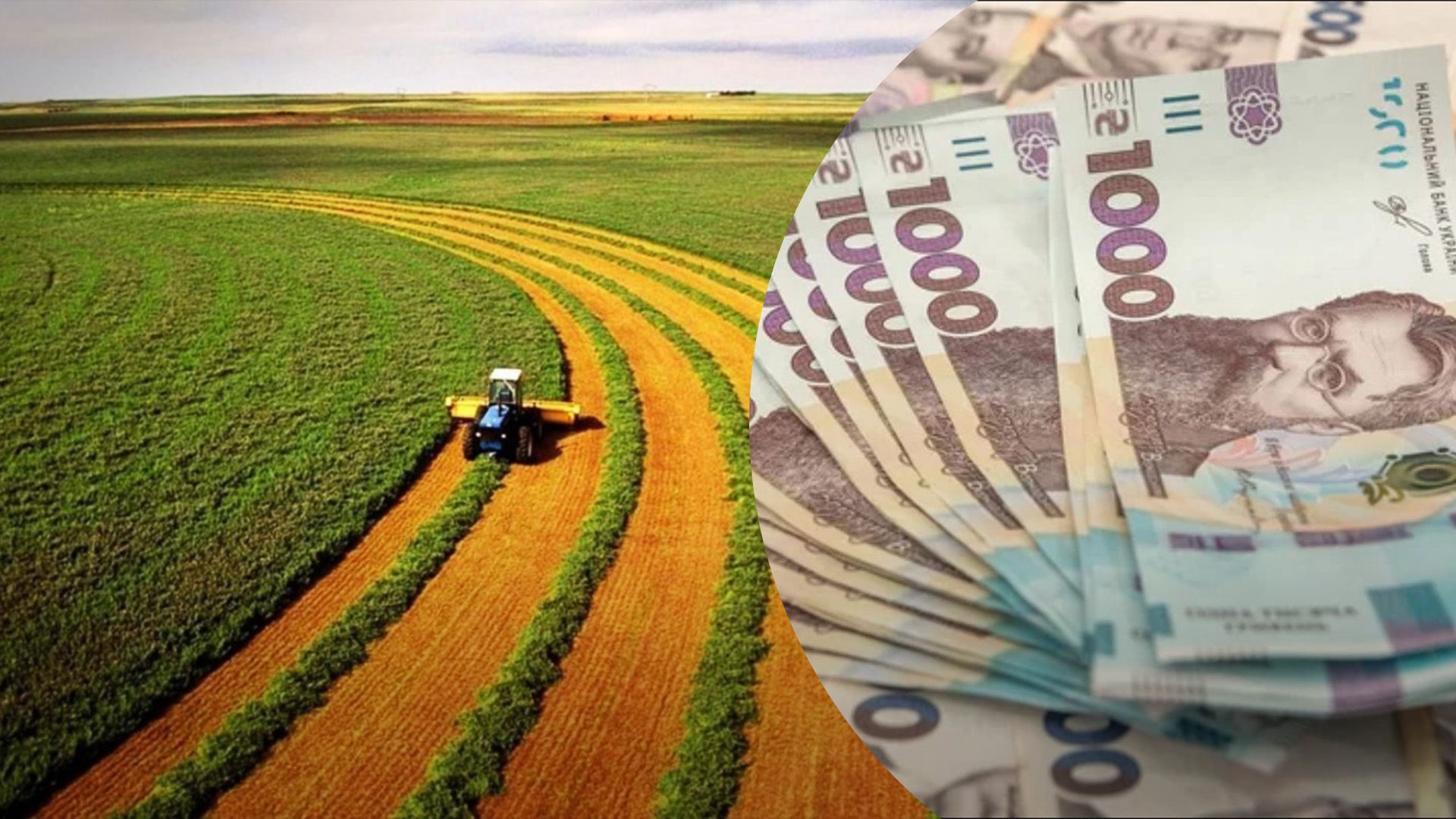 Как продать землю во время войны Как продать землю во время войны