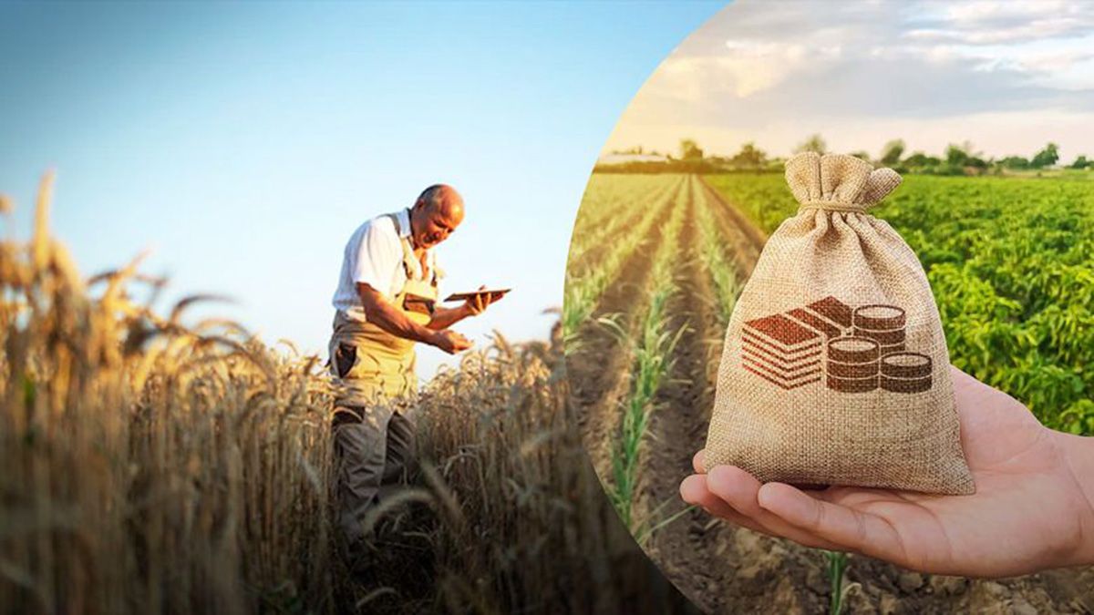 Какую поддержку могут получить аграрии в 2024 году Какую поддержку могут получить аграрии в 2024 году