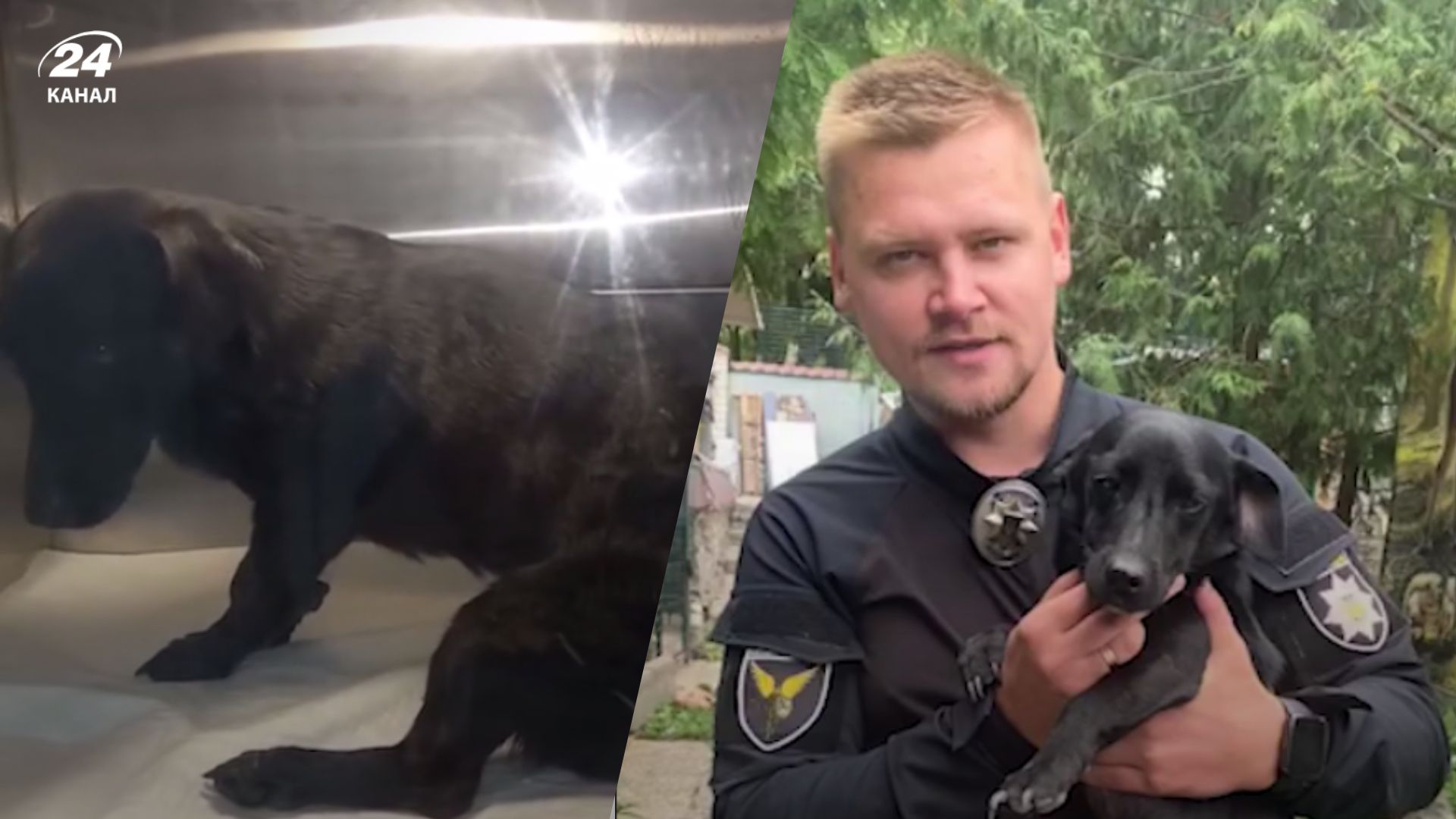 Поліцейські врятували собаку