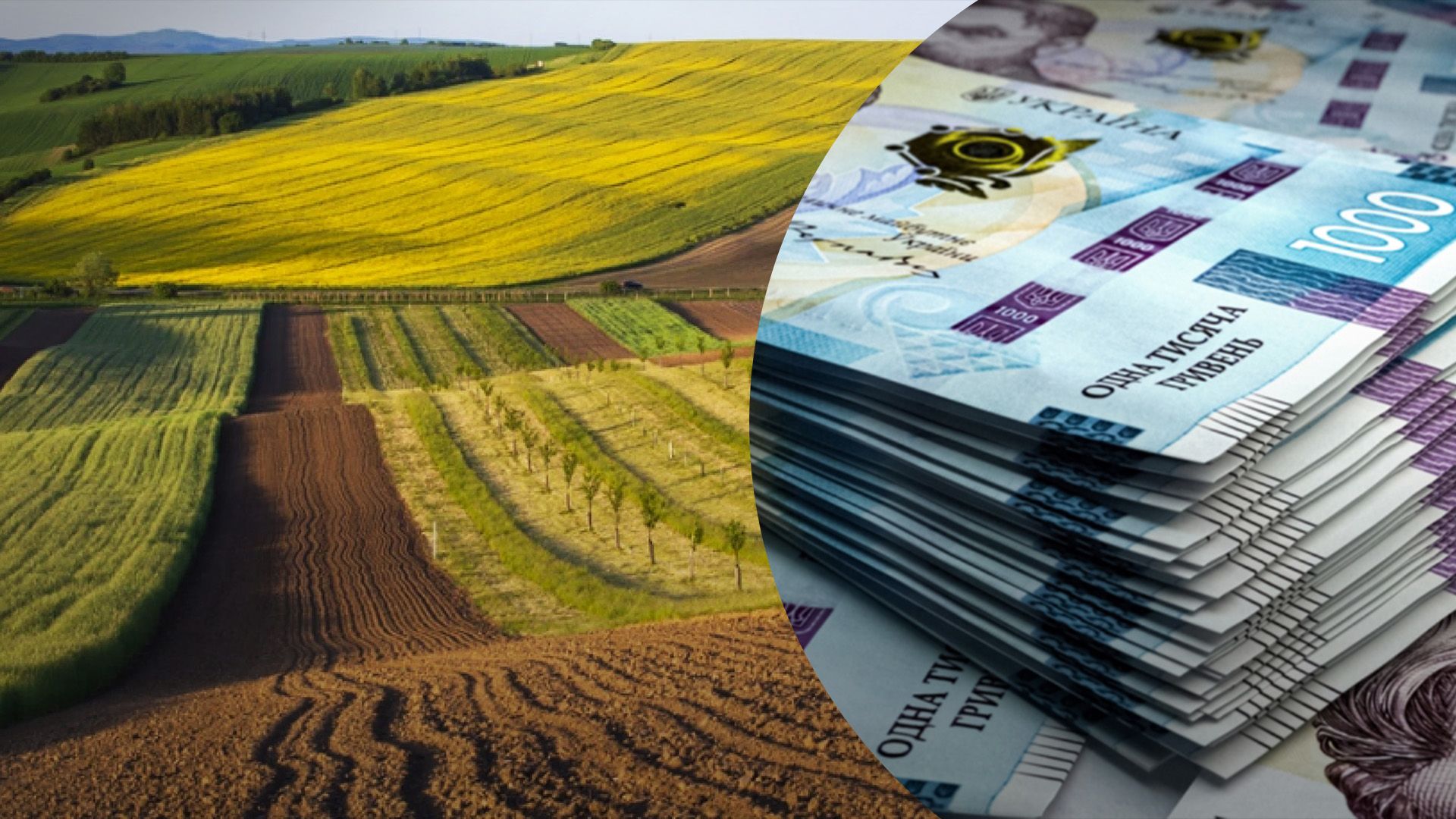 Скільки коштує земля на Заході України Скільки коштує земля на Заході України