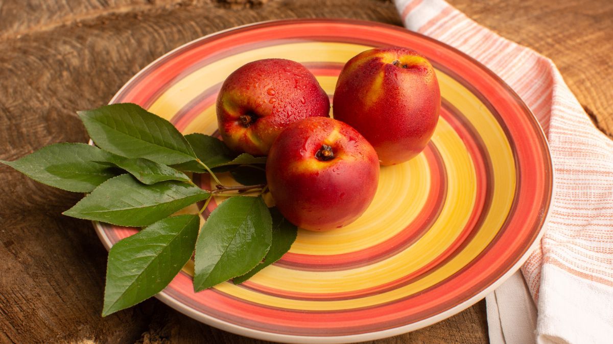 Что святят на Яблочный Спас Что святят на Яблочный Спас