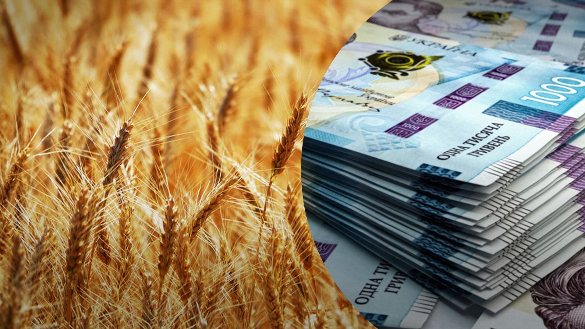 Пшеница подешевела в Украине