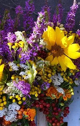 Маковийчик Маковийчик