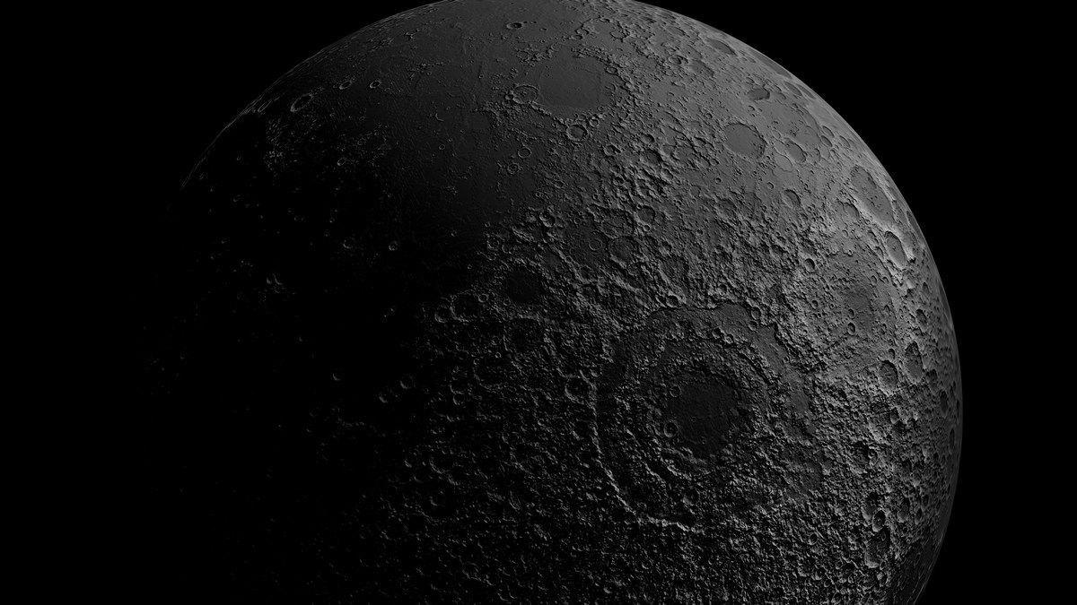 Исчезающие виды животных и растений хотят сохранить в криокамерах на Луне Исчезающие виды животных и растений хотят сохранить в криокамерах на Луне