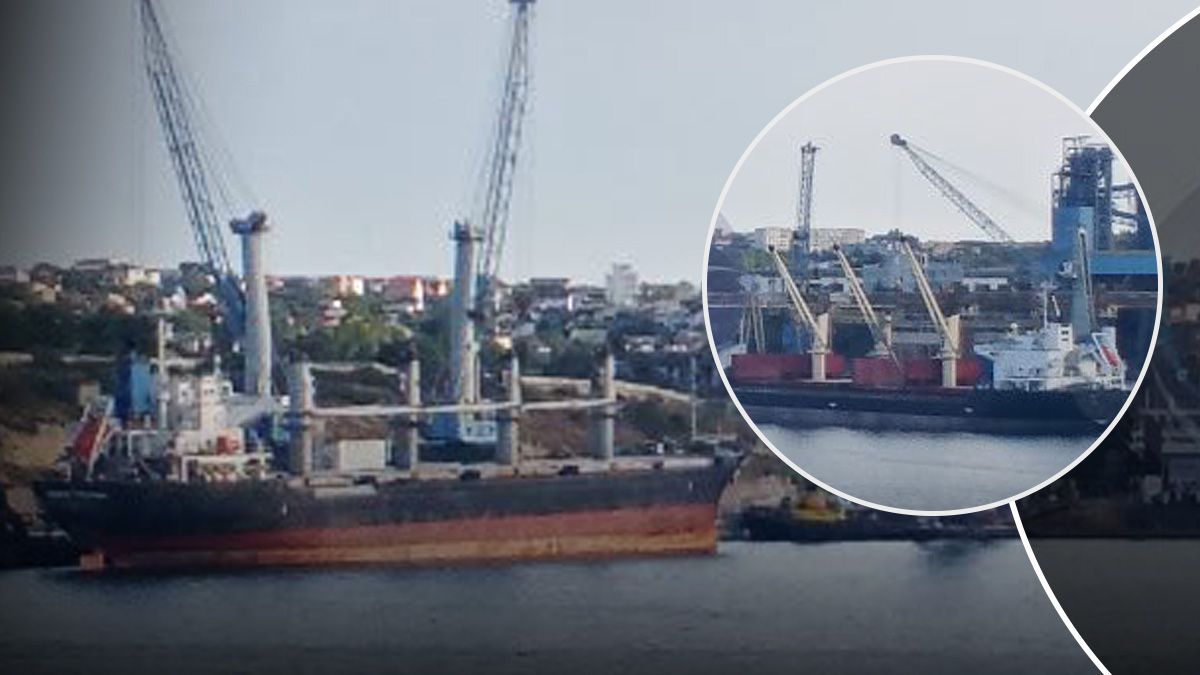 Идентификация судна, ворующих украинское зерно