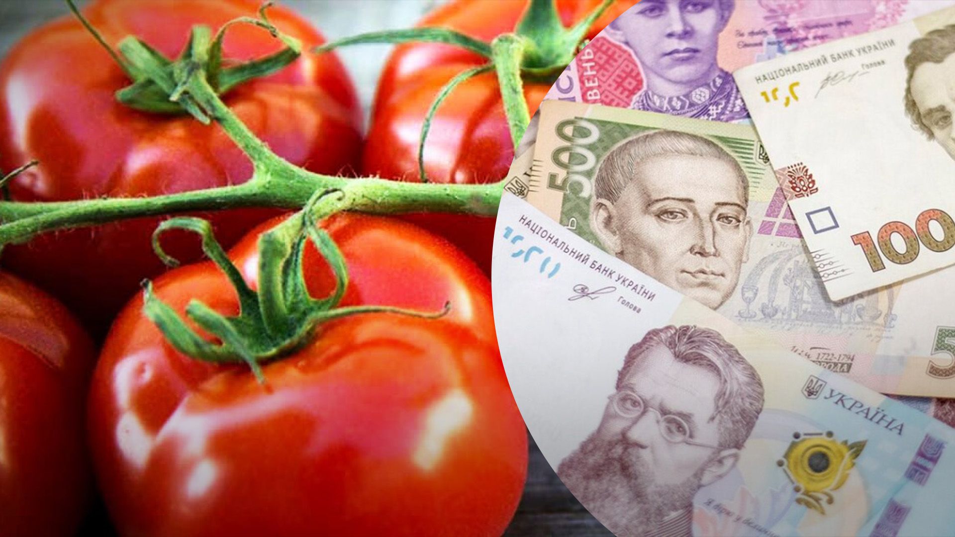 Помідори дешевшають на ринках України Помідори дешевшають на ринках України