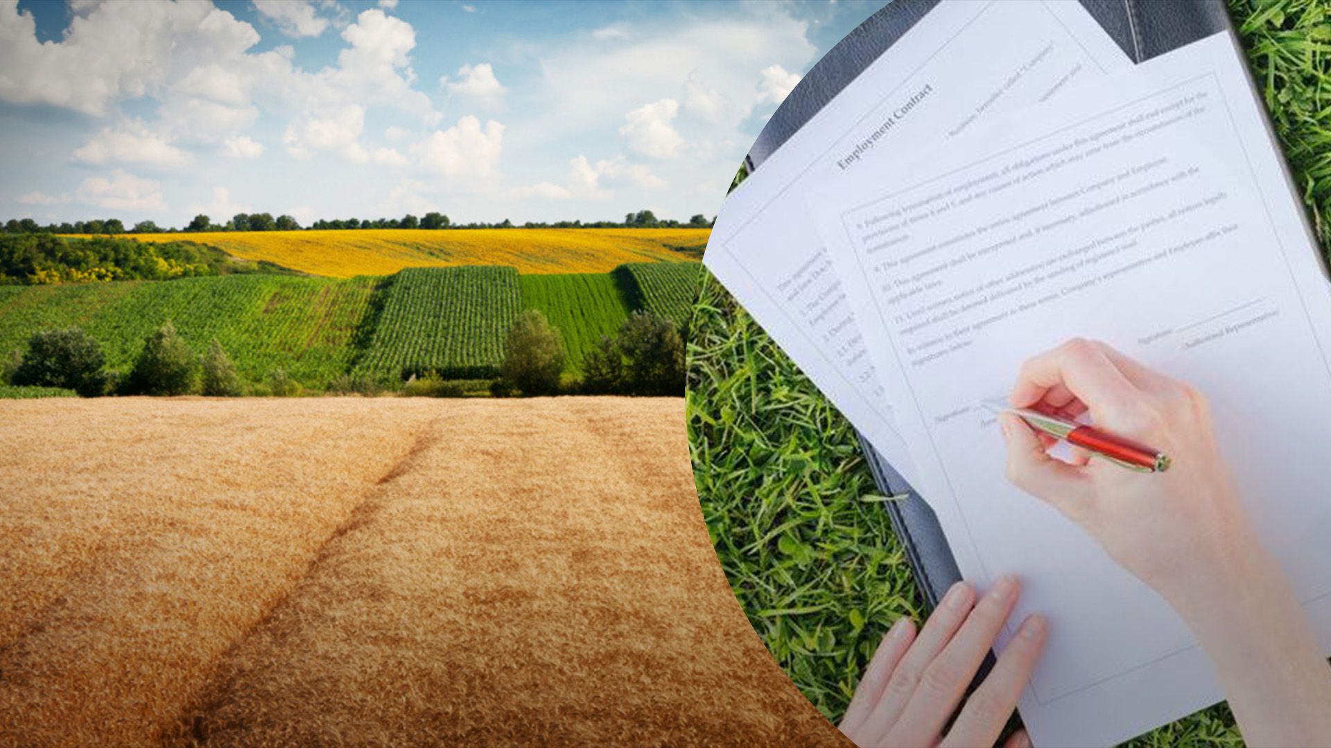 Хто купує в Україні землю Хто купує в Україні землю