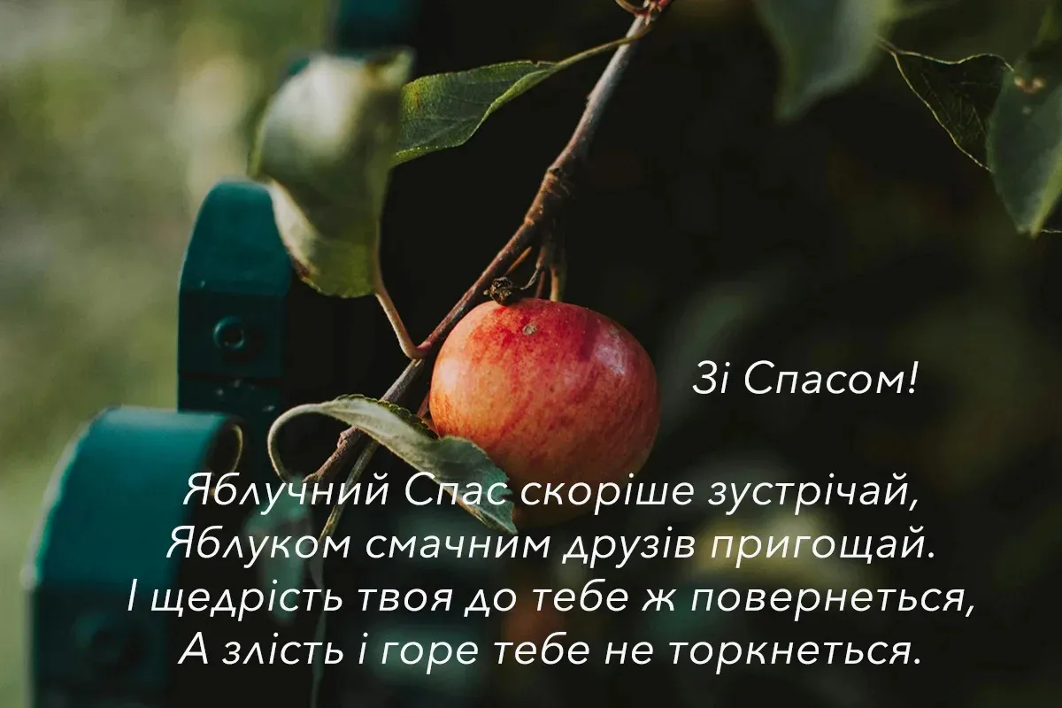 Яблочный Спас Яблочный Спас