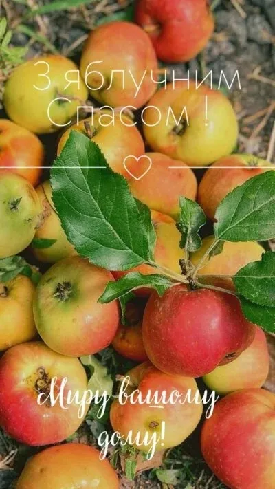 Яблочный Спас Яблочный Спас