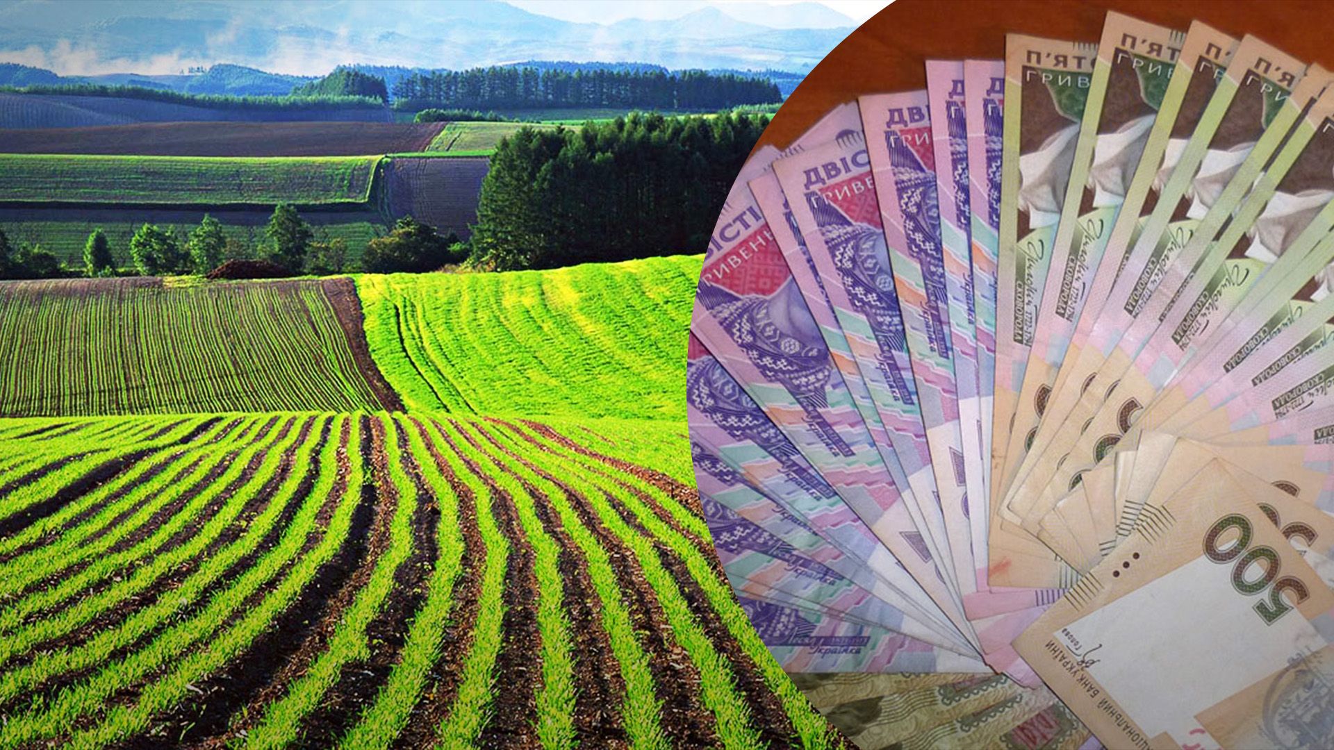 Які причини гальмування росту цін на землю Які причини гальмування росту цін на землю