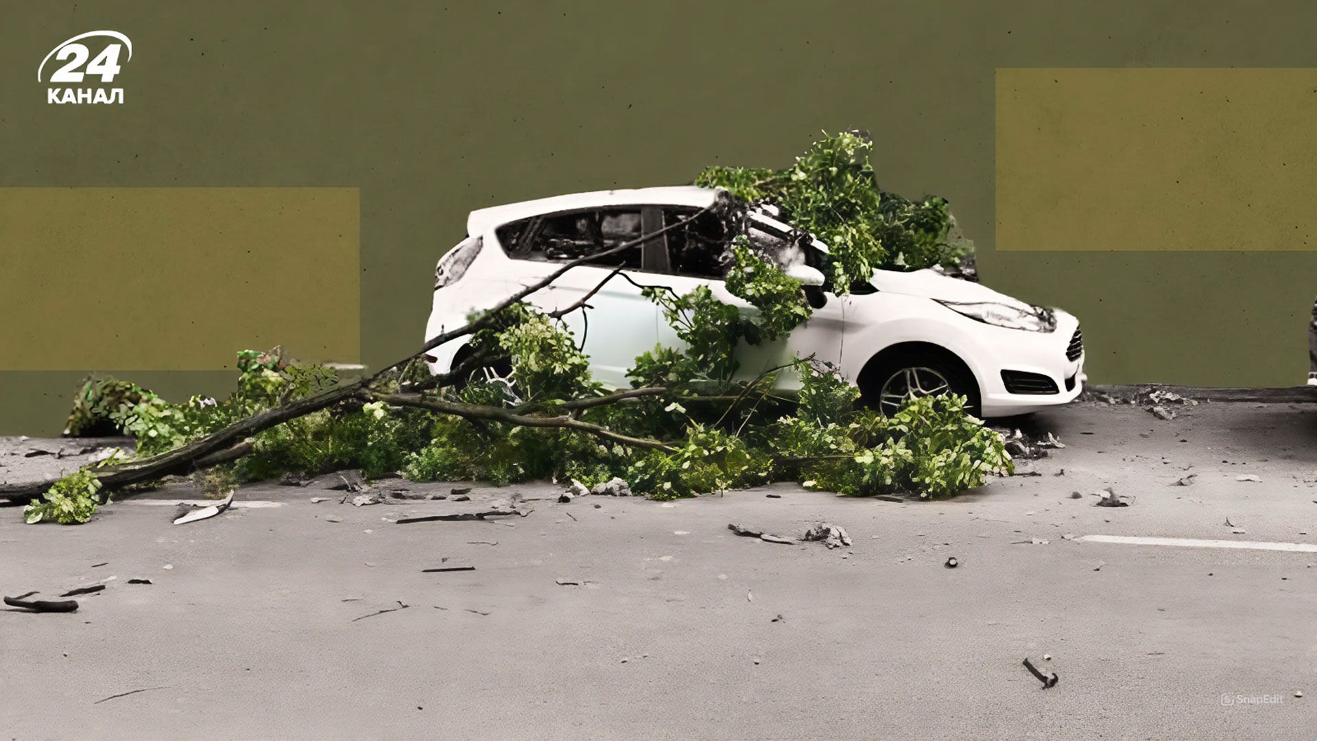 Падение деревьев в Киеве Падение деревьев в Киеве