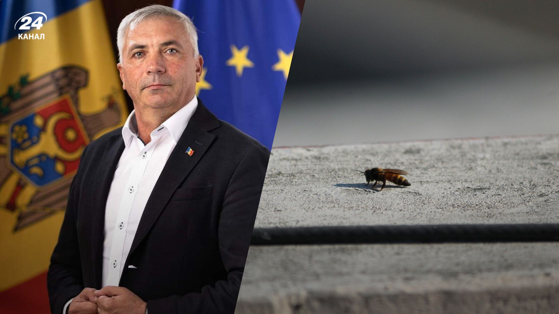 Юрий Пассат умер из-за осу Юрий Пассат умер из-за осу