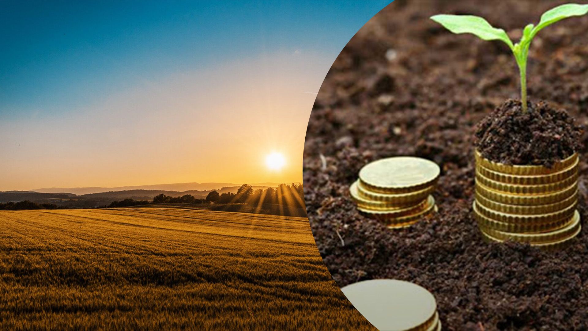 Який податок на землю у 2024 році Який податок на землю у 2024 році