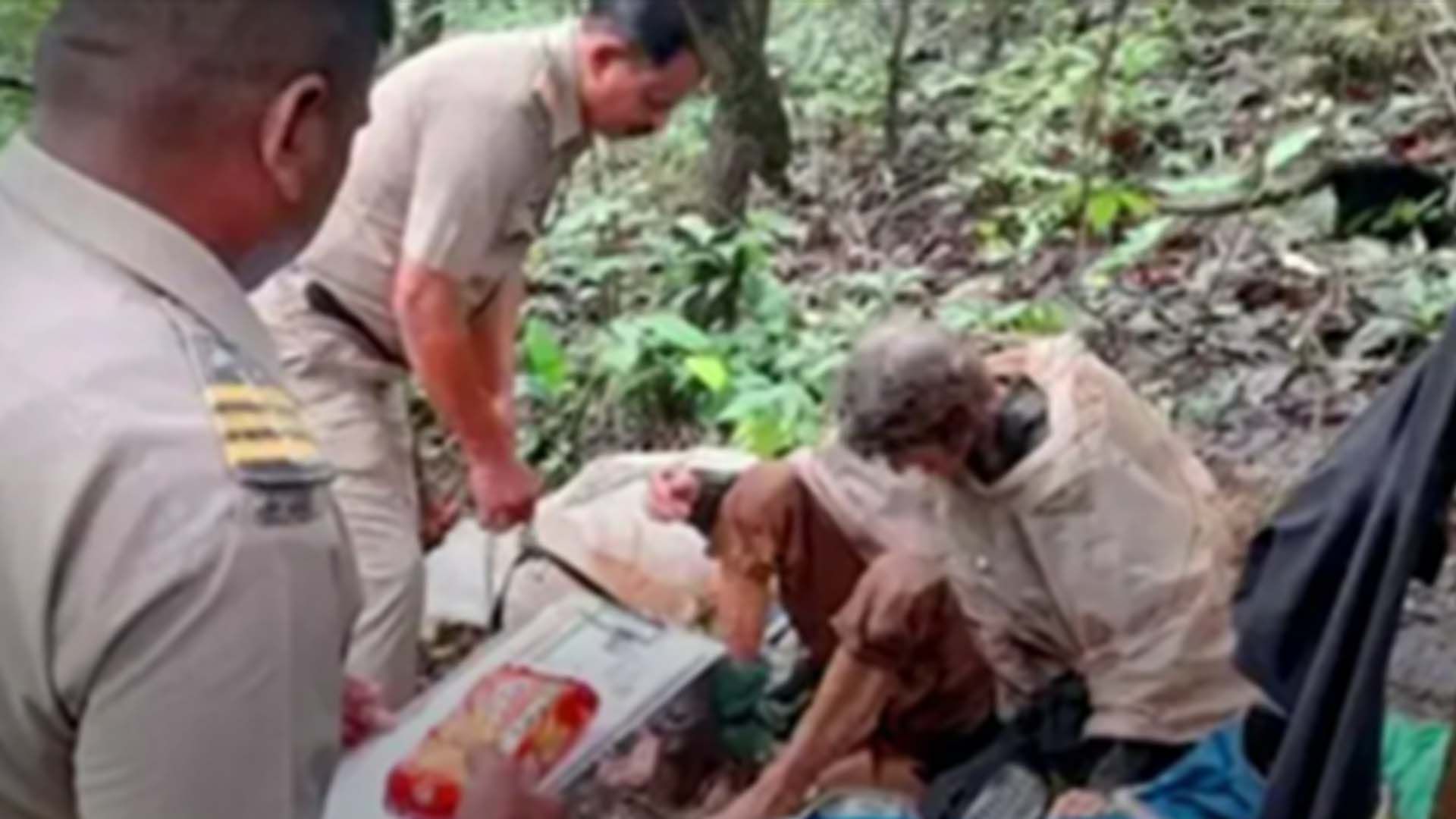 В Індії американку знайшли голодною та прикутою до дерева - 24 Канал В Індії американку знайшли голодною та прикутою до дерева - 24 Канал