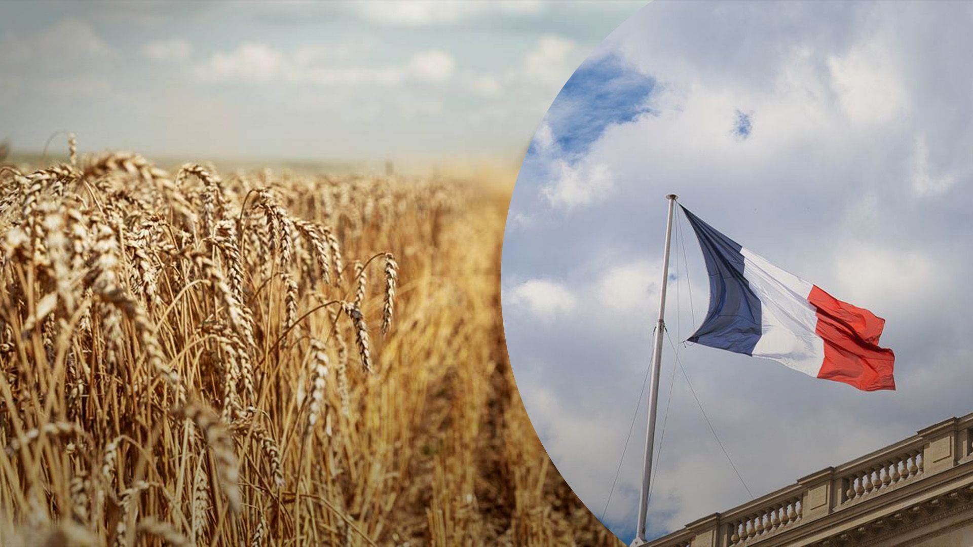 У Франції може бути найгірший за 40 років врожай У Франції може бути найгірший за 40 років врожай