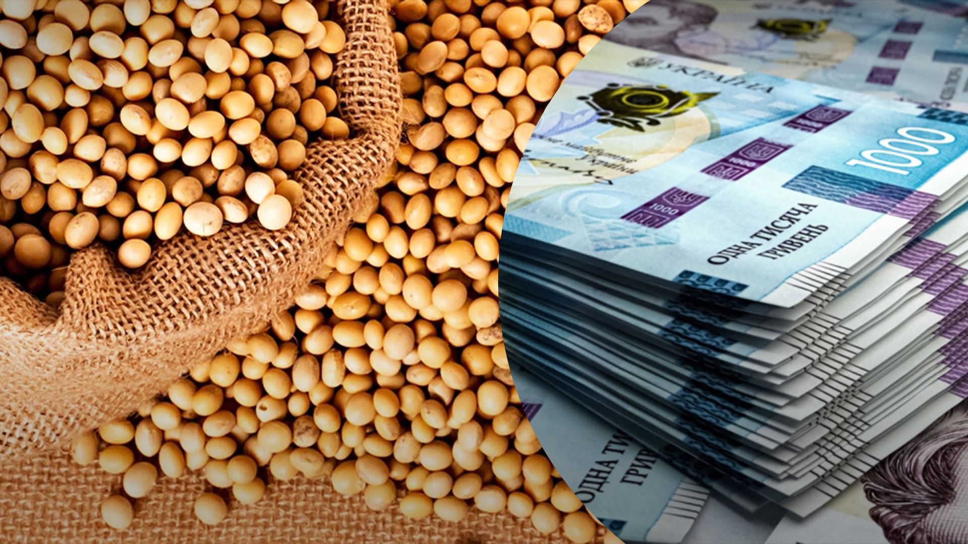 В Україні виробники скуповують сою В Україні виробники скуповують сою