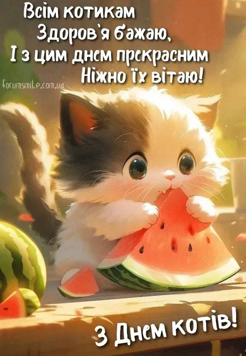 День котов 2024 День котов 2024