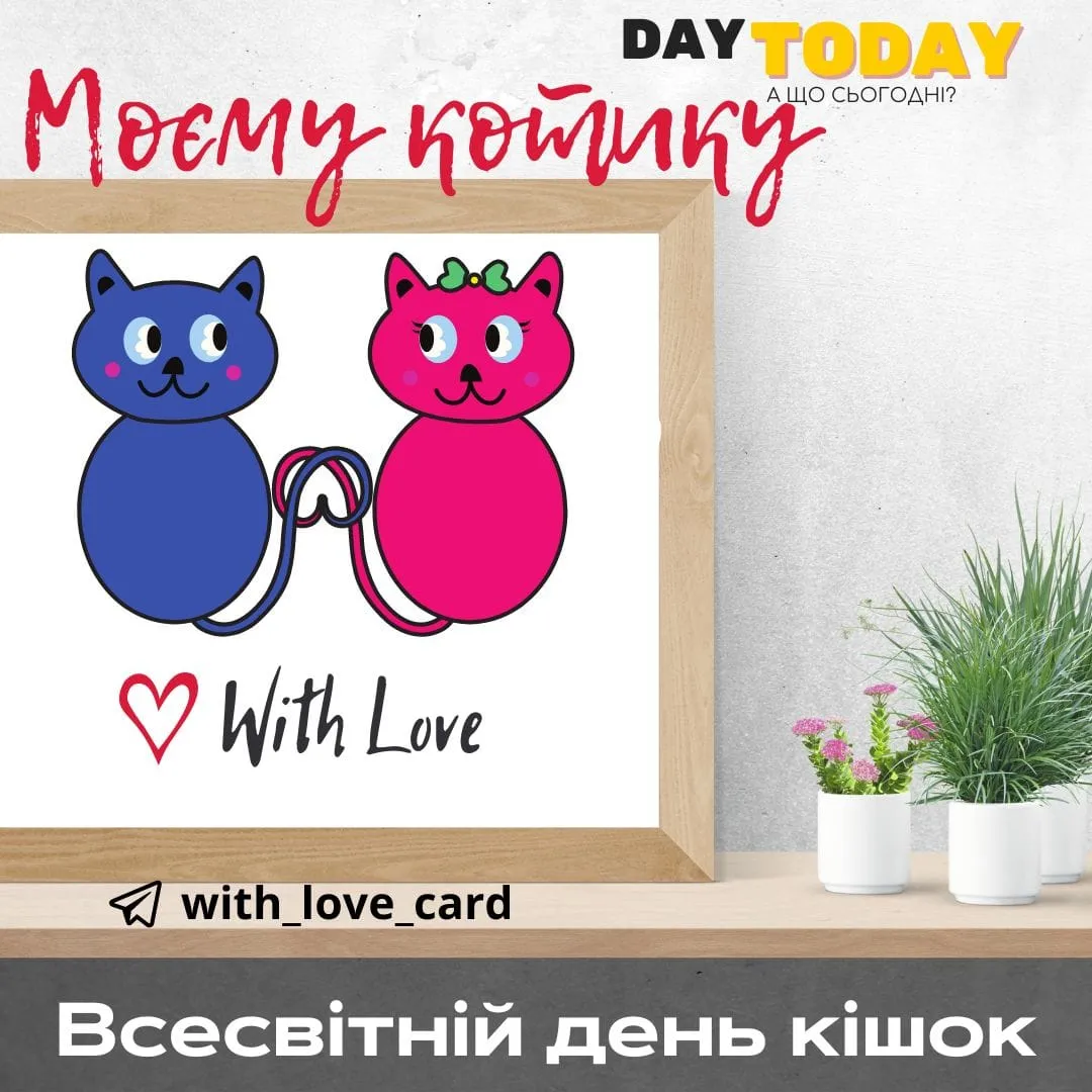 День котов 2024 День котов 2024