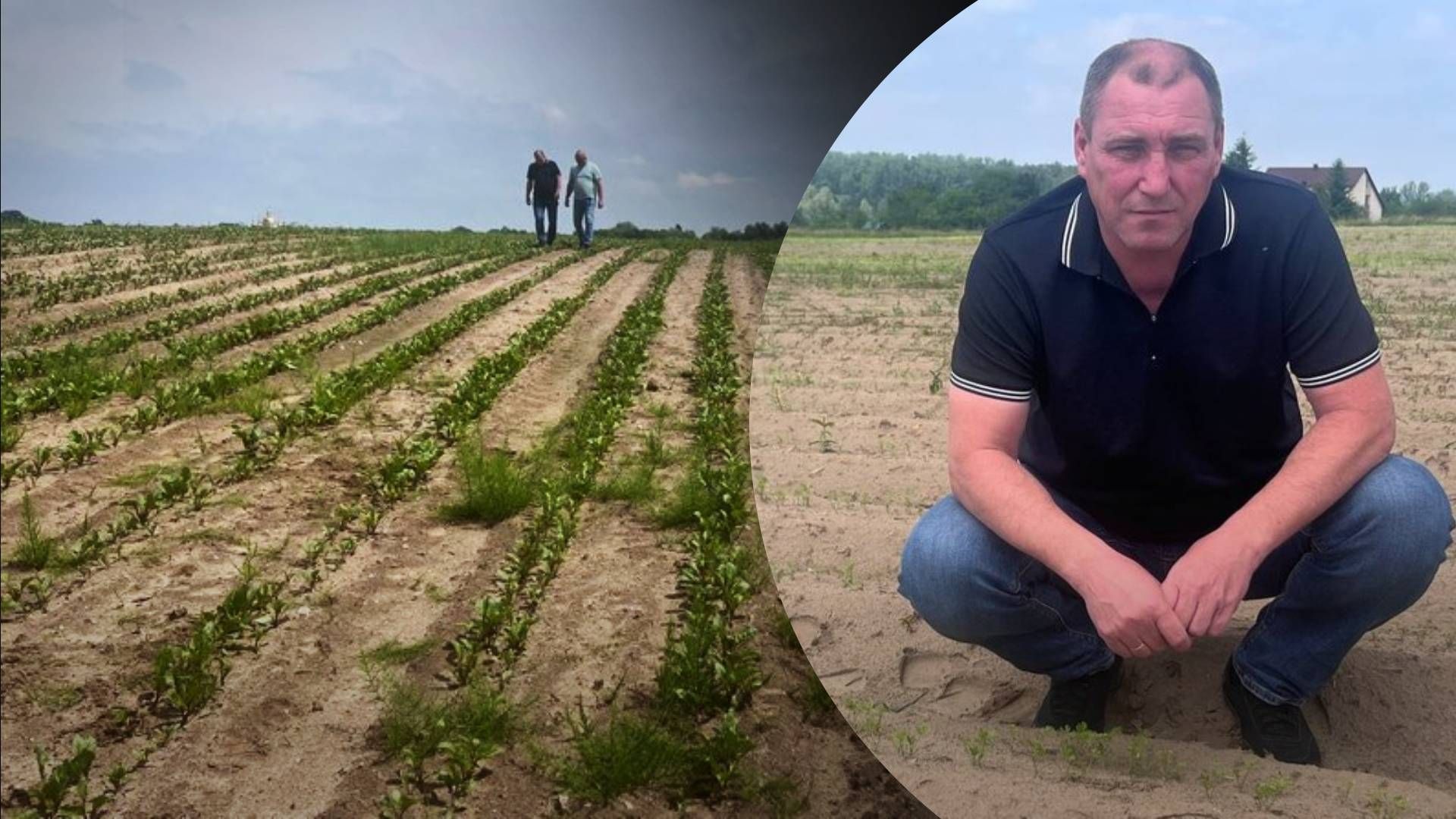 "В мене на полі перша лінія оборони" Як агровиробник із Херсонщини переїхав на Львівщину - Тренди "В мене на полі перша лінія оборони" Як агровиробник із Херсонщини переїхав на Львівщину - Тренди