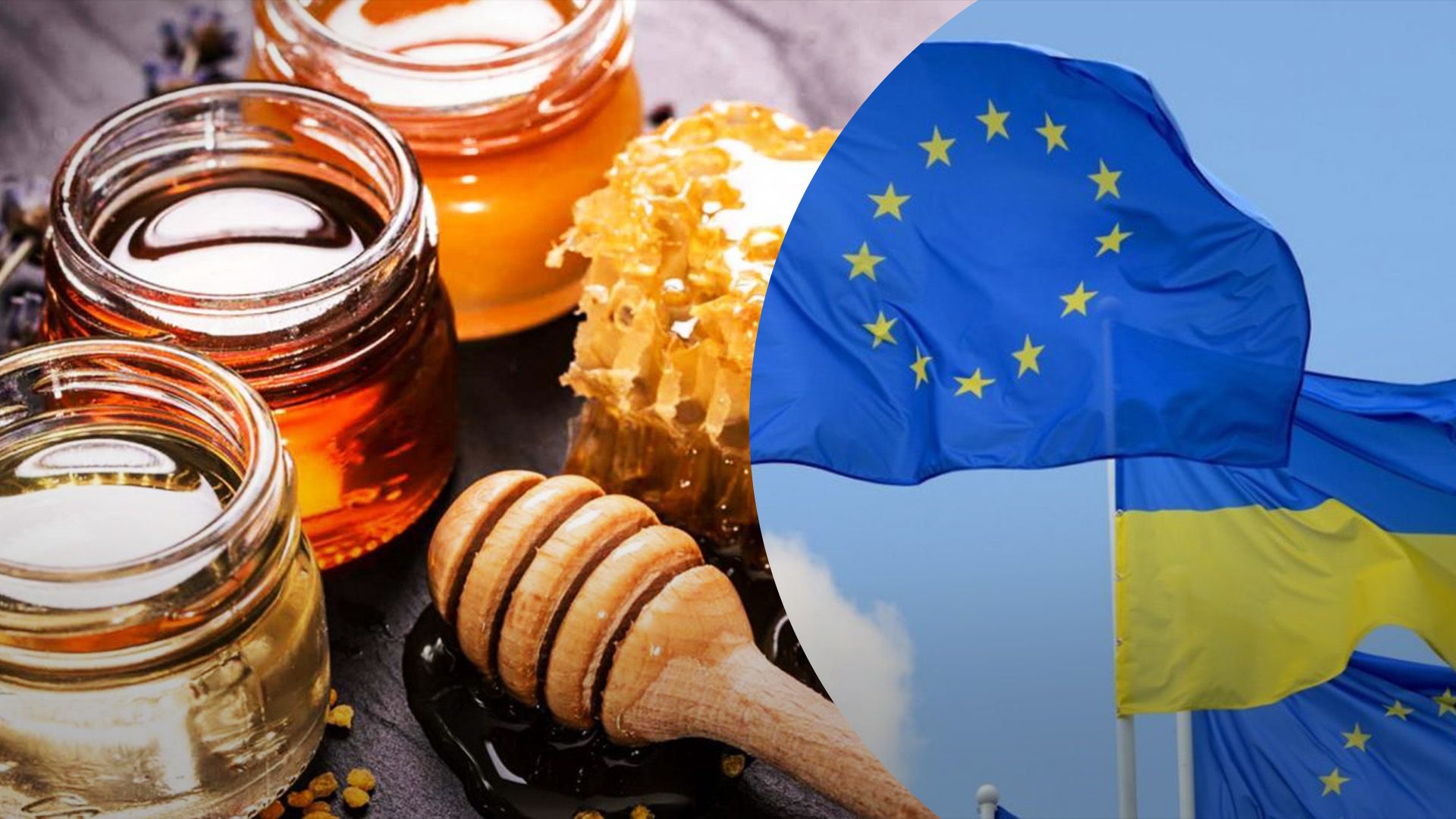 12 компаній з України експортують мед в ЄС 12 компаній з України експортують мед в ЄС