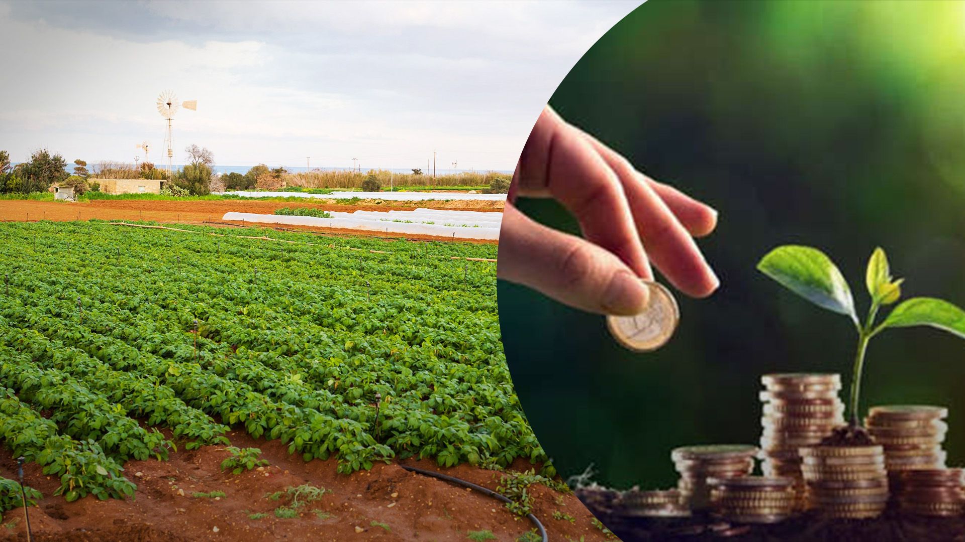 Кто должен платить земельный налог Кто должен платить земельный налог