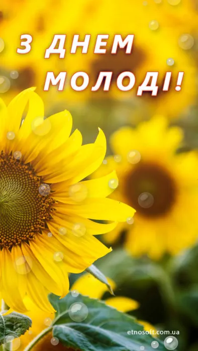 День молодежи День молодежи