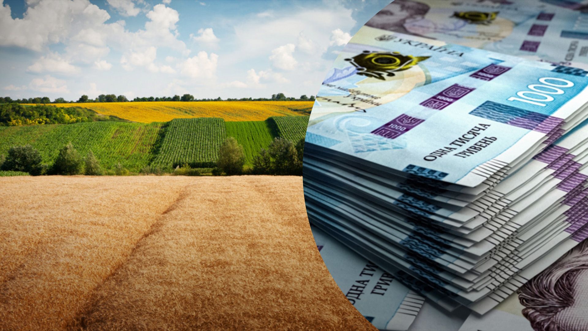 Сколько стоит земля в селе Сколько стоит земля в селе