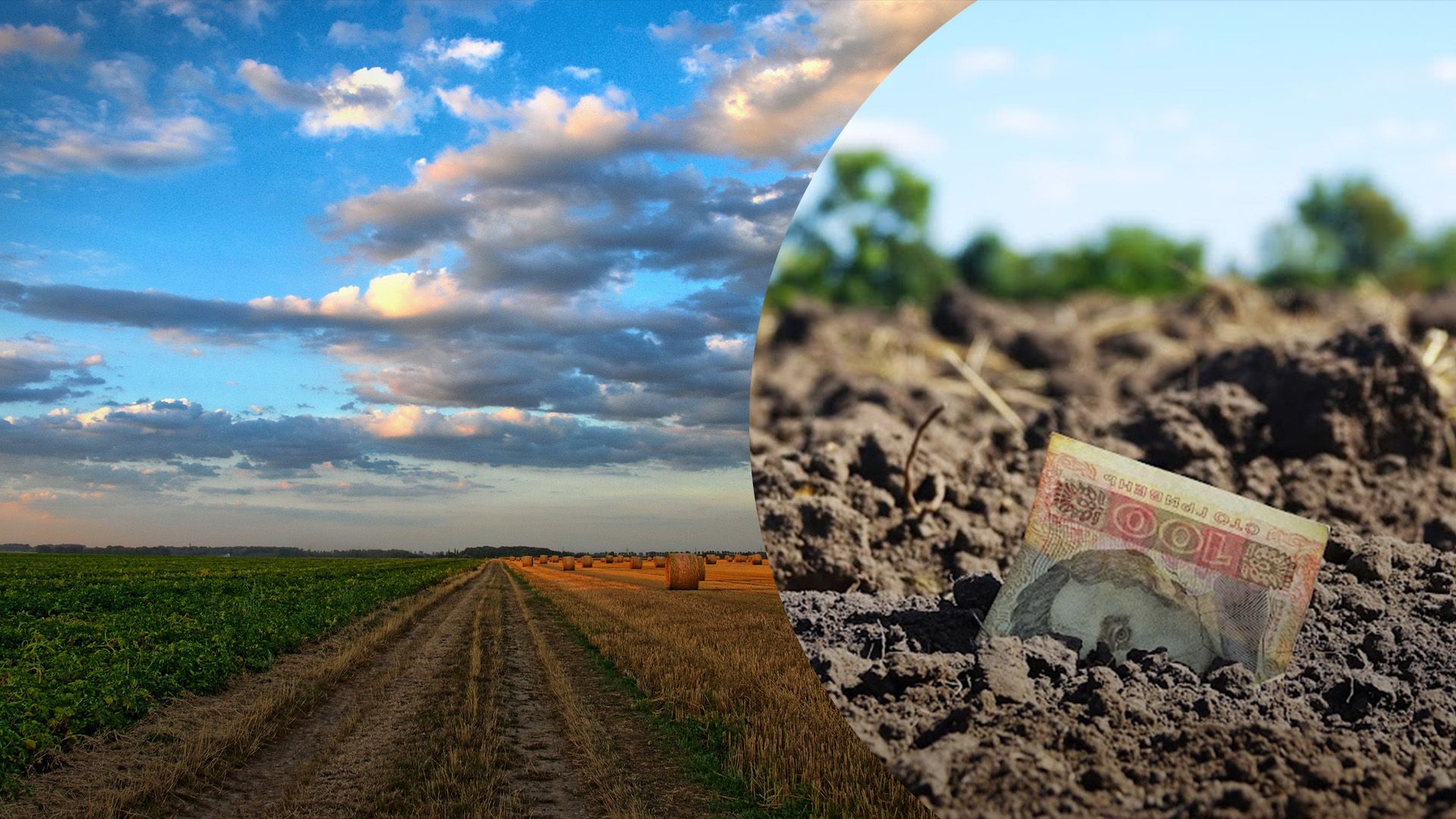 Хто може не сплачувати податок на землю Хто може не сплачувати податок на землю