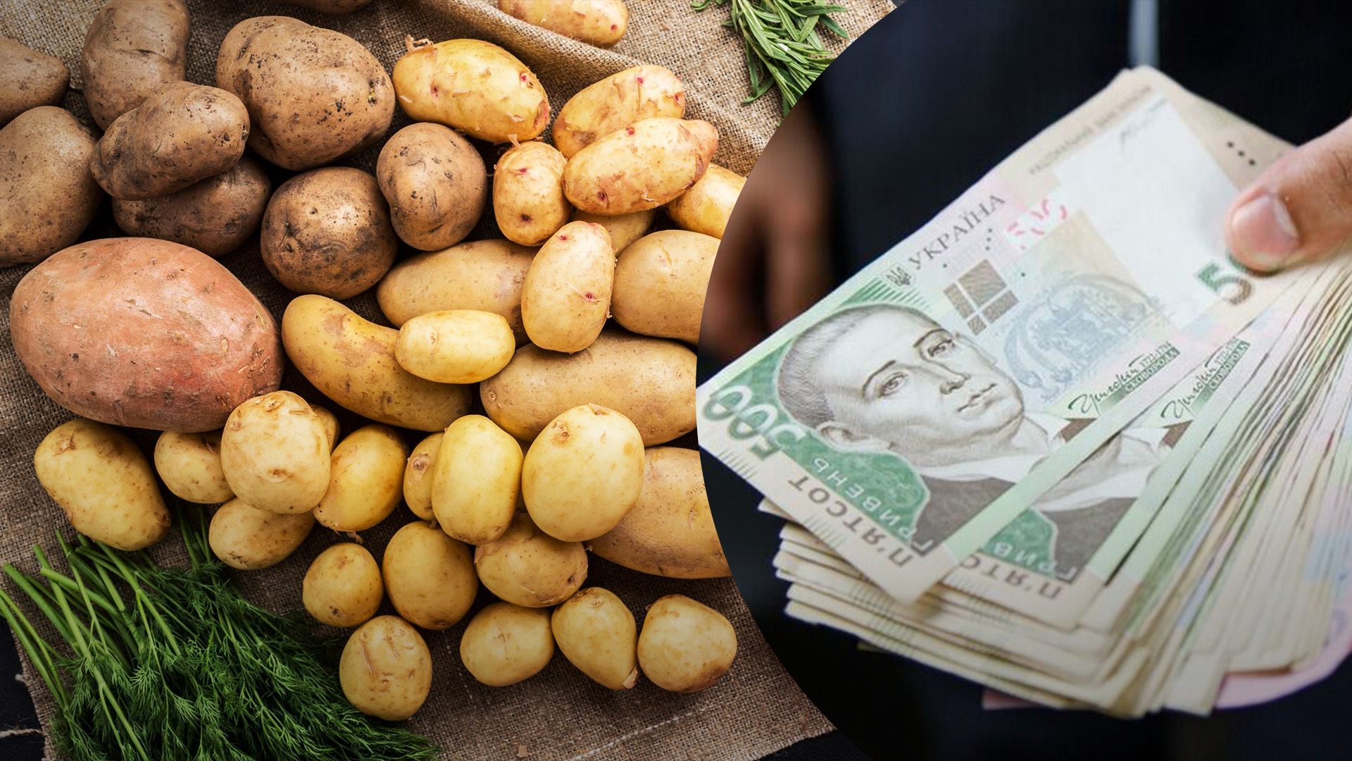 Ціни на картоплю в супермаркетах України Ціни на картоплю в супермаркетах України