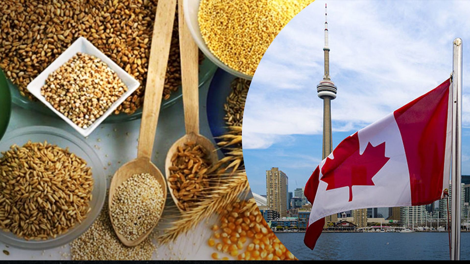 Канада озвучила цены на популярные агрокультуры Канада озвучила цены на популярные агрокультуры