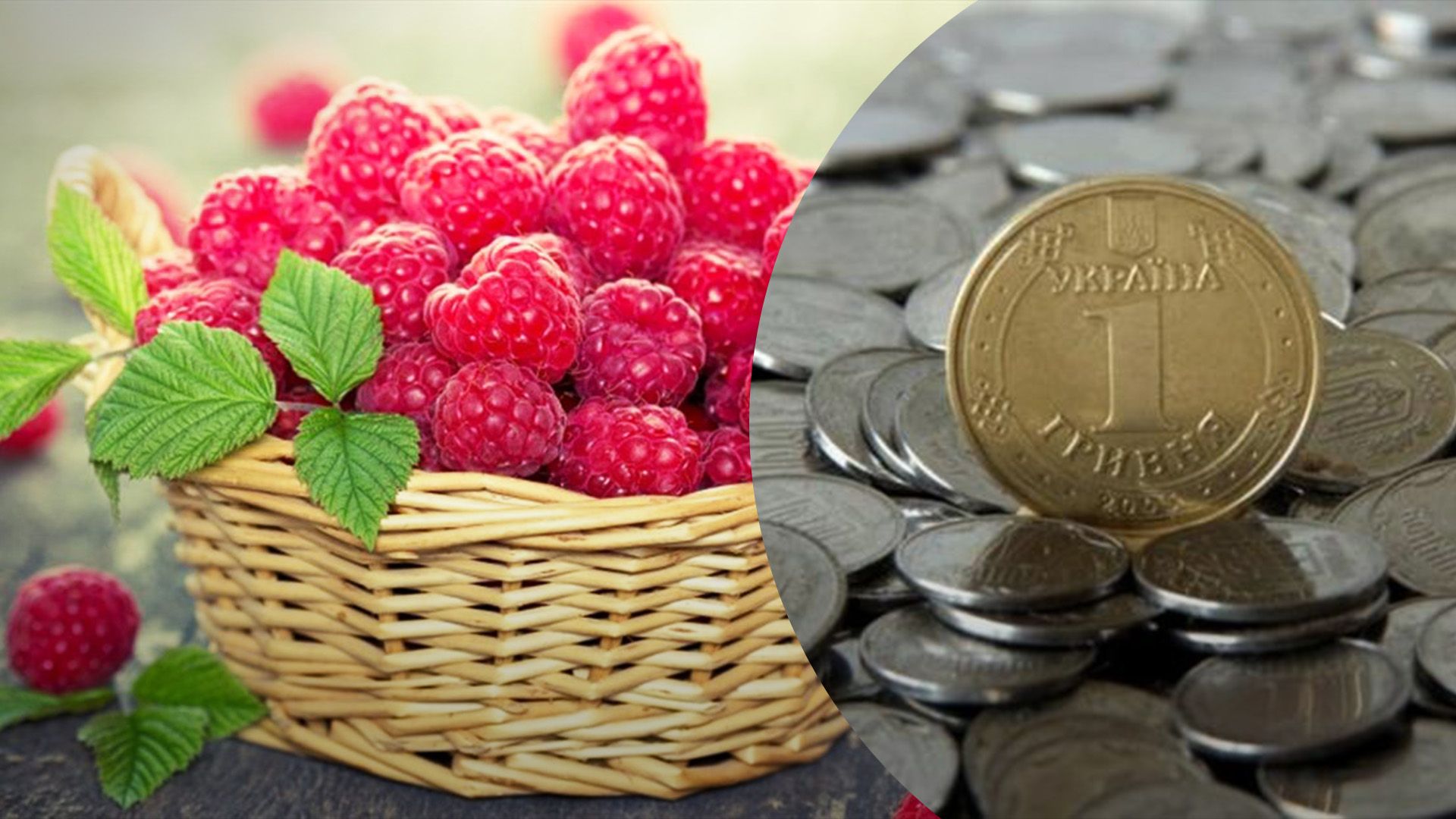 Малина на заморозку стрімко дешевшає Малина на заморозку стрімко дешевшає