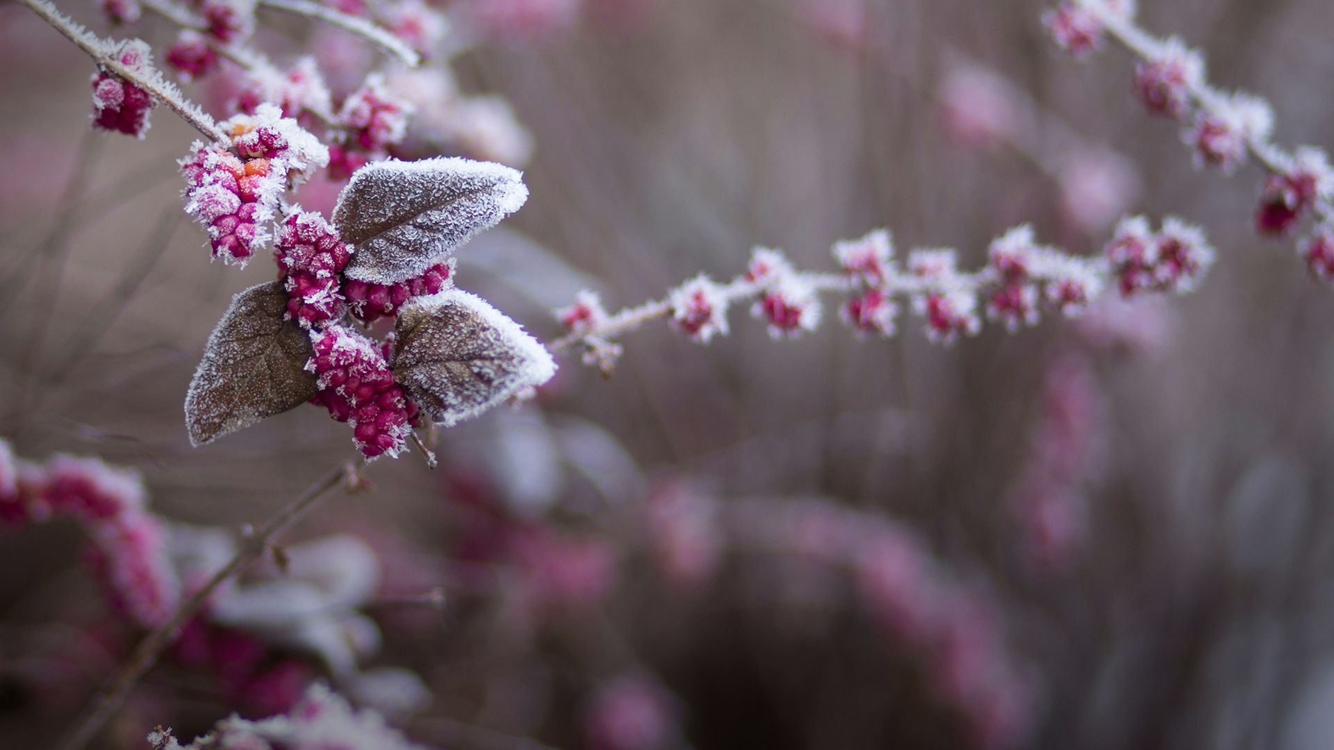 Похолодание Похолодание
