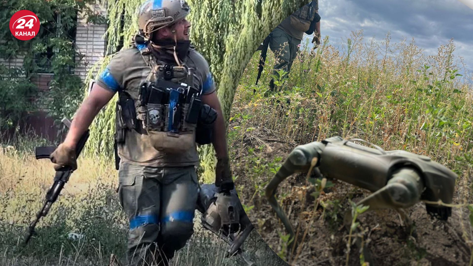 Украина начала использовать роботов-собак на фронте Украина начала использовать роботов-собак на фронте