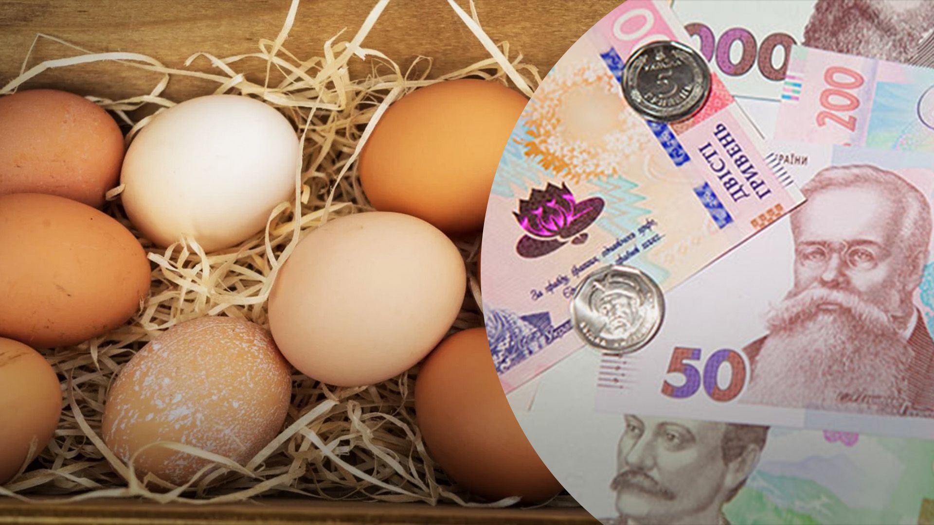 Ціна на яйця стабілізувалась Ціна на яйця стабілізувалась