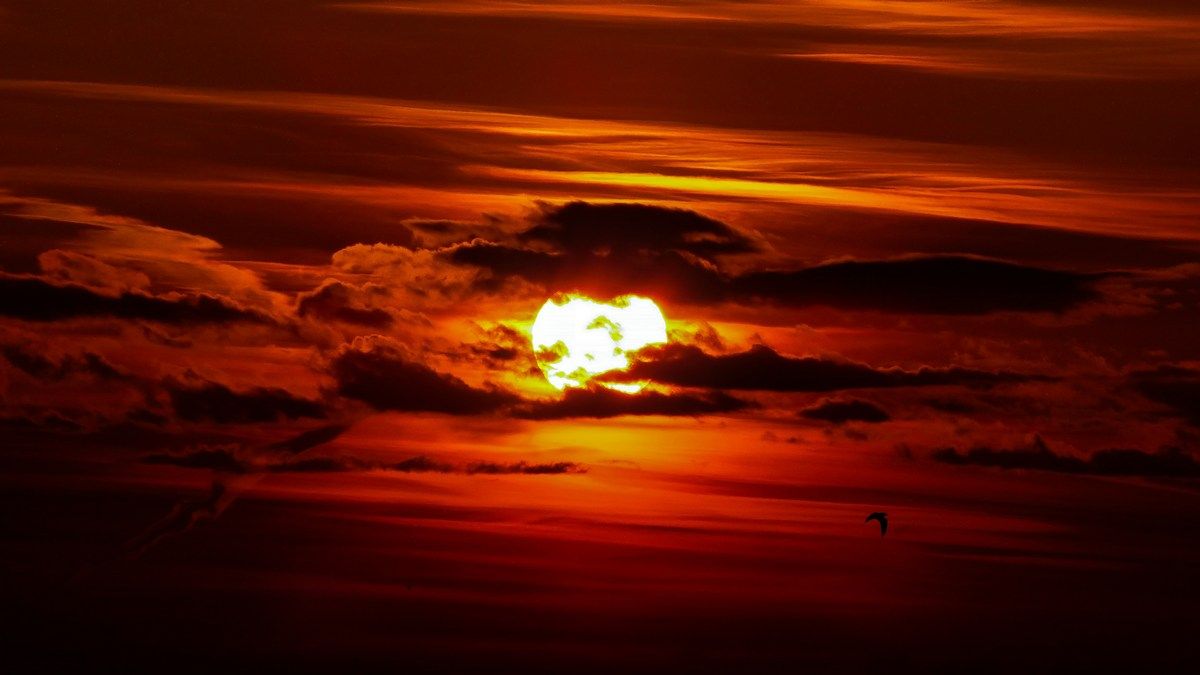 Магнітна буря 12 серпня 2024 року – яка потужність та які можливі наслідки Магнітна буря 12 серпня 2024 року – яка потужність та які можливі наслідки