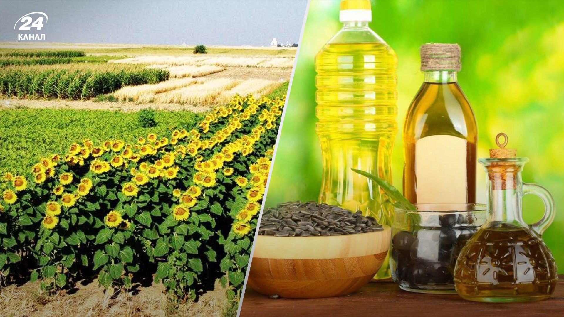 Сырья органического подсолнечника не хватает Сырья органического подсолнечника не хватает