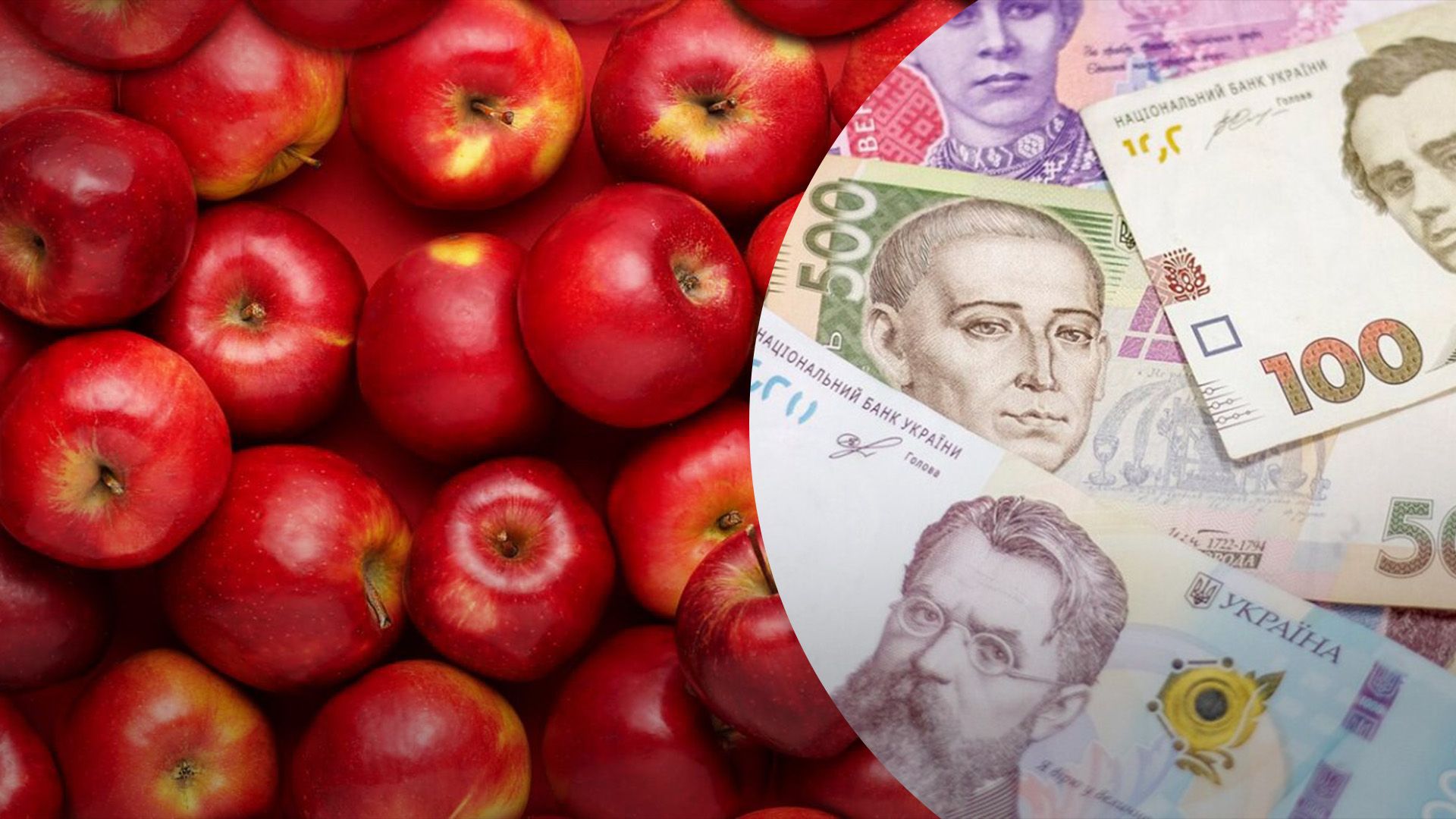 Яблука дешевшати не будуть Яблука дешевшати не будуть