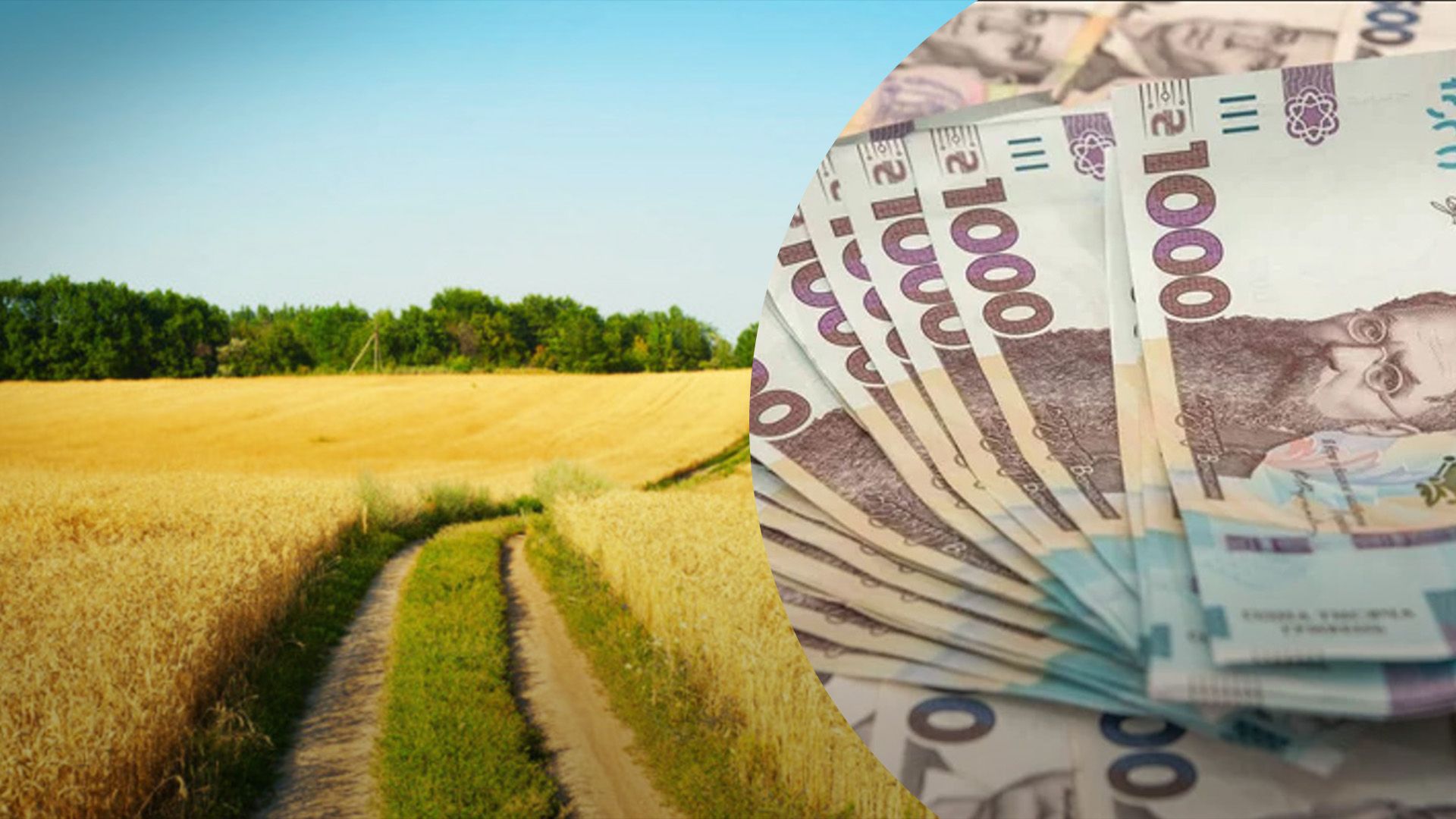 Скільки коштує земля на Львівщині Скільки коштує земля на Львівщині