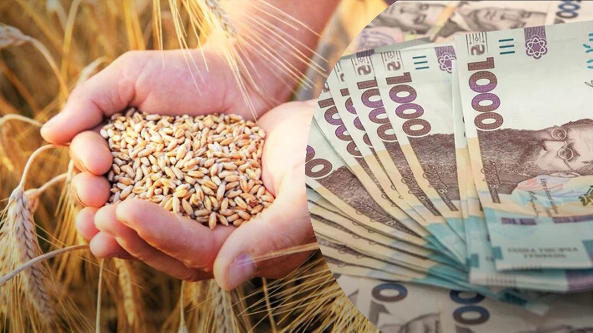 В Україні озвучили нові ціни на зернові В Україні озвучили нові ціни на зернові