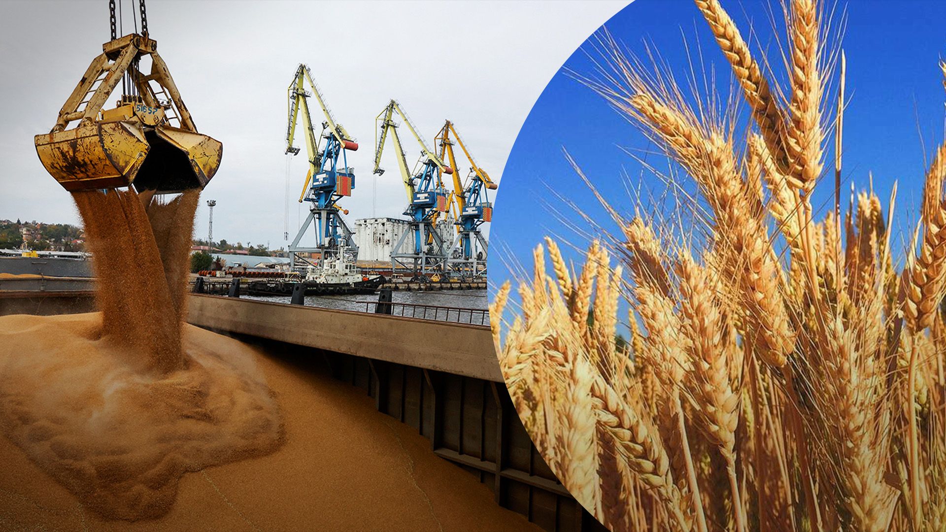 Украина наращивает экспорт зерновых Украина наращивает экспорт зерновых