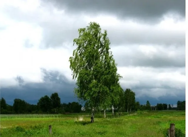 Місце біля Луцька