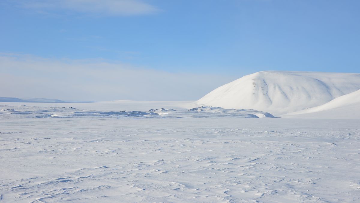 Стаж за Полярным кругом Стаж за Полярным кругом